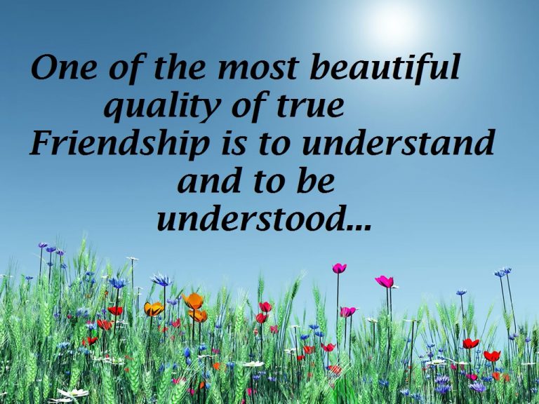 Beautiful Lovely Quotes About Friendship Images