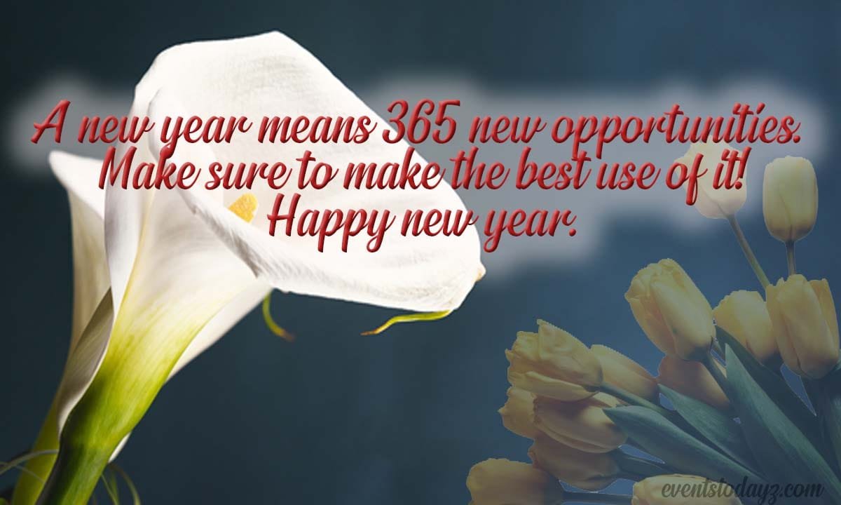 happy new year wishes 23-24