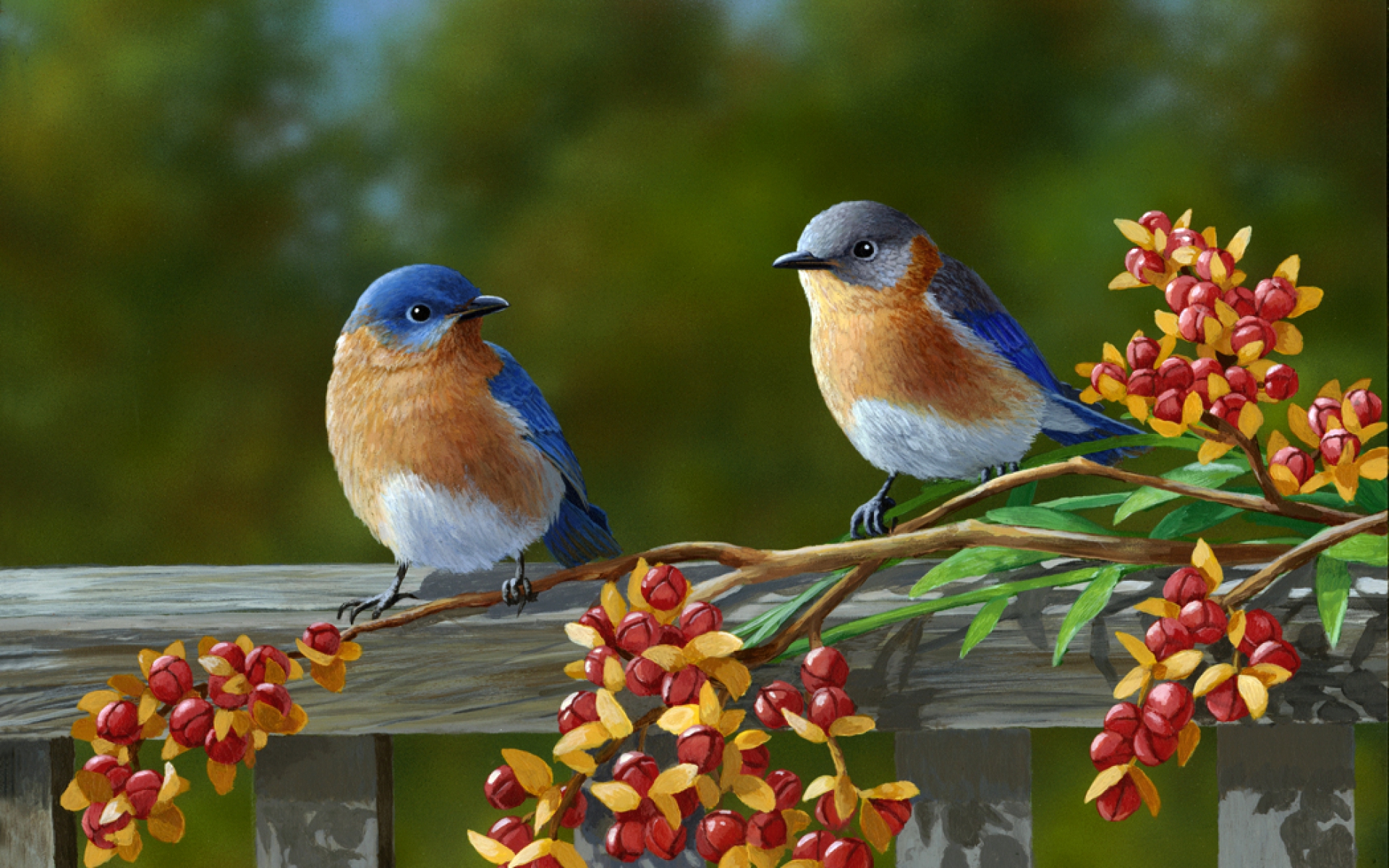 10600 Birds HD Wallpapers and Backgrounds