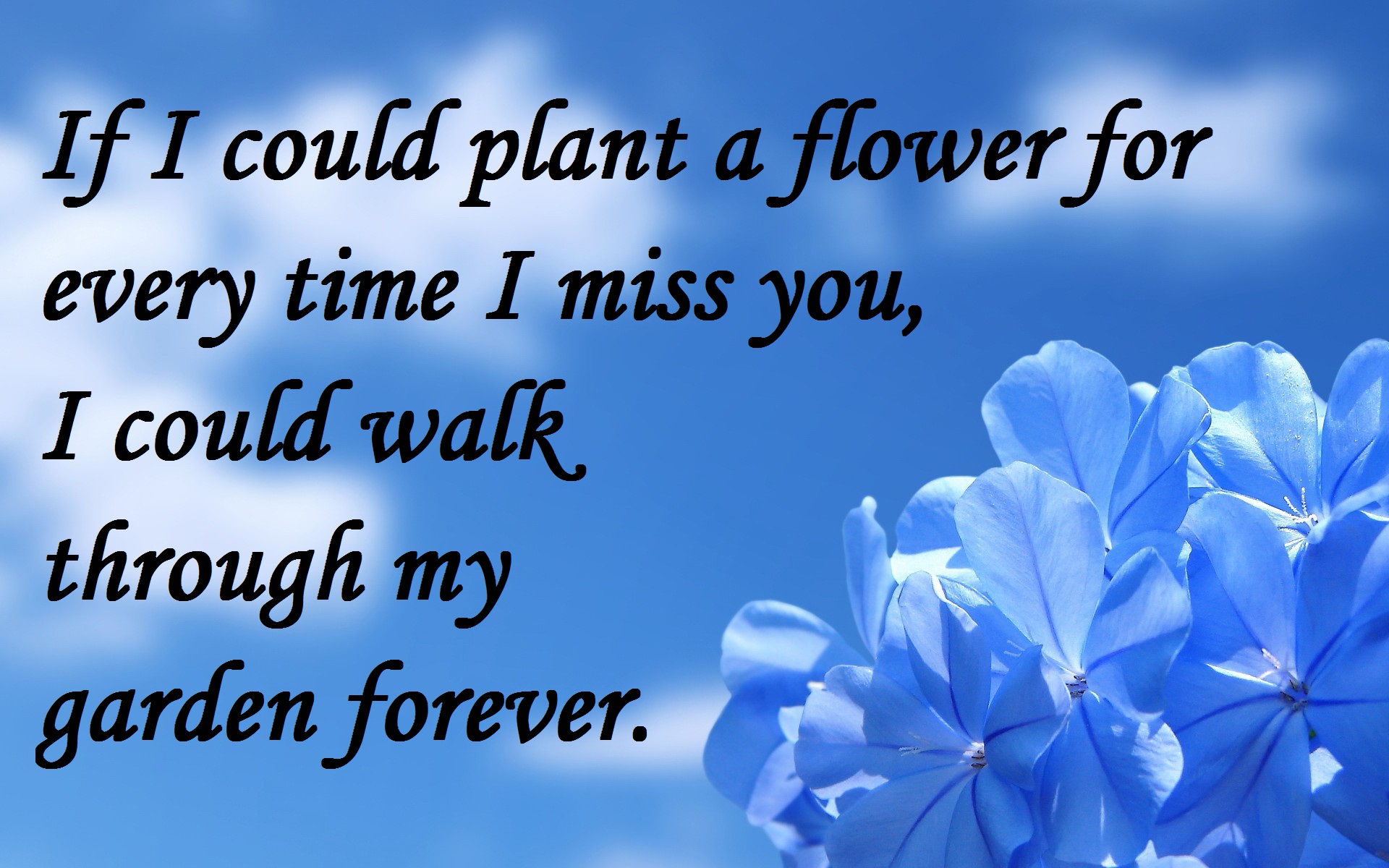 I Miss You Quotes  Miss U Images