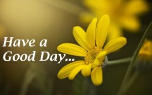 Beautiful Good Day Quotes & Wishes Images 2017