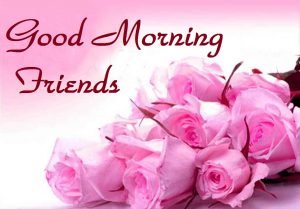 Good Morning Friends Pictures, Images & Hd Wallpapers