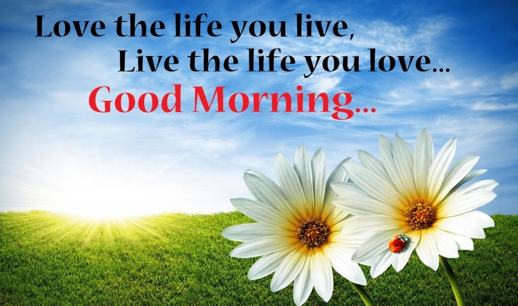 Good Morning Status Images | Good Morning Quotes