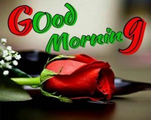 Good Morning Images HD Pictures | Good morning wishes & Messages