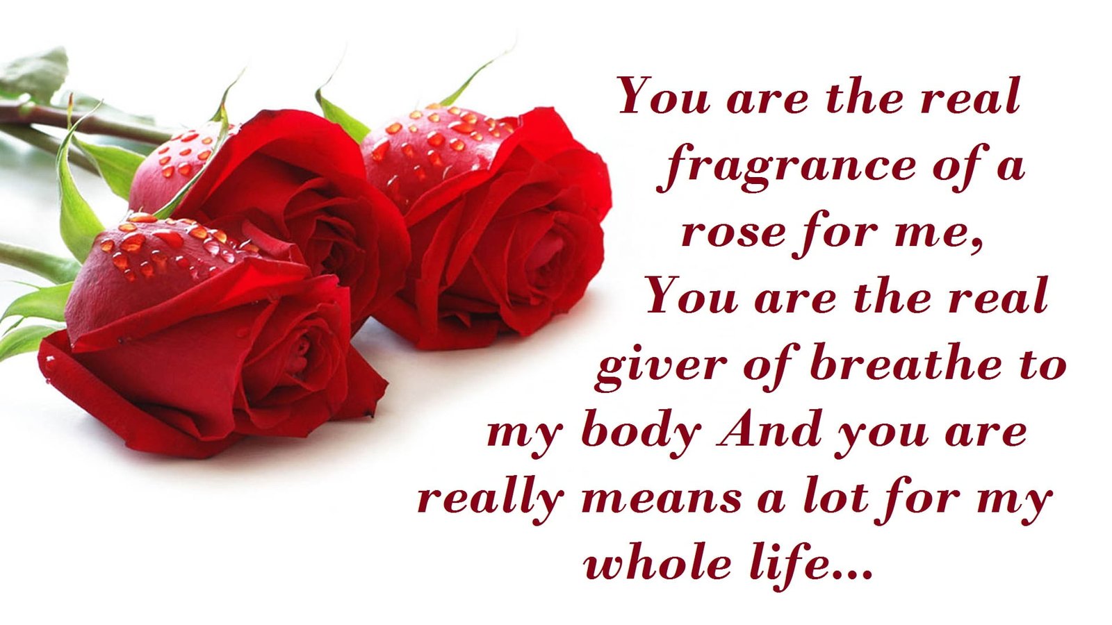 Happy Rose Day Wishes, Messages & Greetings With Images 2022