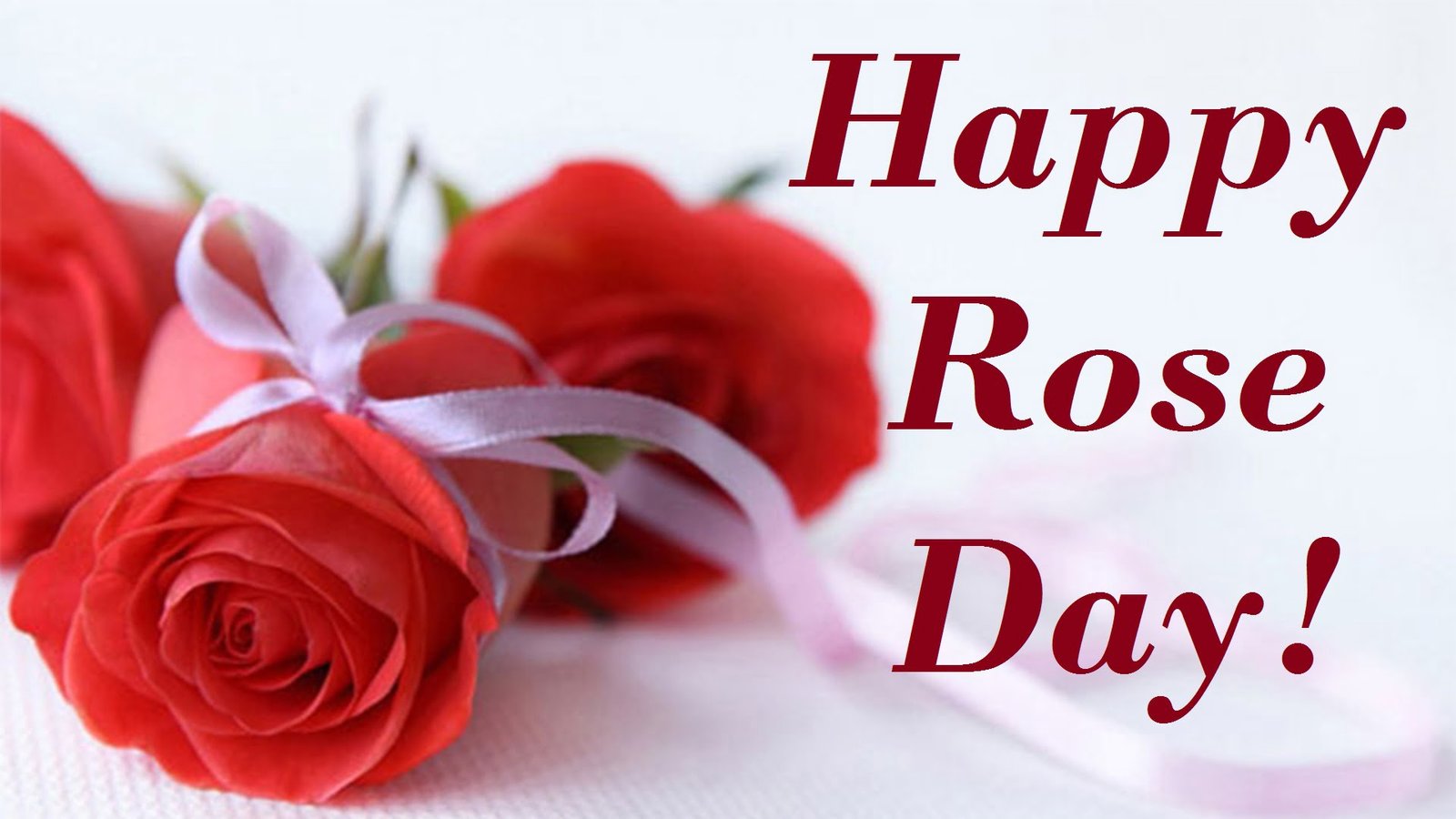 Happy Rose Day Wishes, Messages & Greetings With Images 2022