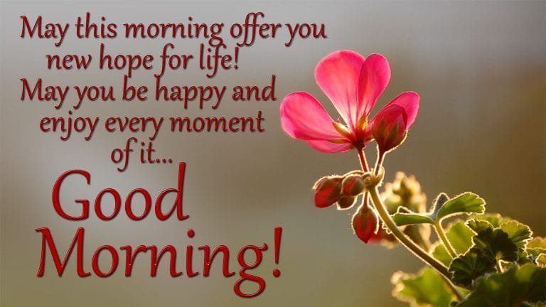 Good Morning Greetings Images With Wishes & Messages