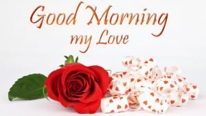 Good Morning My Love Images & HD Pictures Morning Wishes