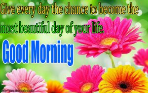 Good Morning GIF Cute Images & Quotes For Loved Ones
